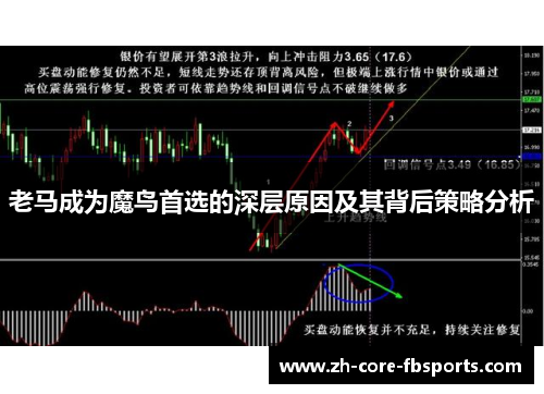 老马成为魔鸟首选的深层原因及其背后策略分析
