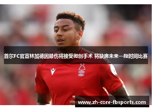 首尔FC官宣林加德因膝伤将接受微创手术 将缺席未来一段时间比赛 首尔FC官宣林加德因膝伤将接受微创手术 将缺席未来一段时间比赛