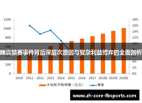 魏震禁赛事件背后深层次原因与复杂利益博弈的全面剖析